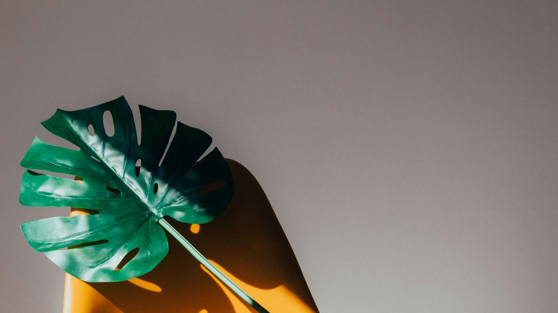 Template 9 DevDigital